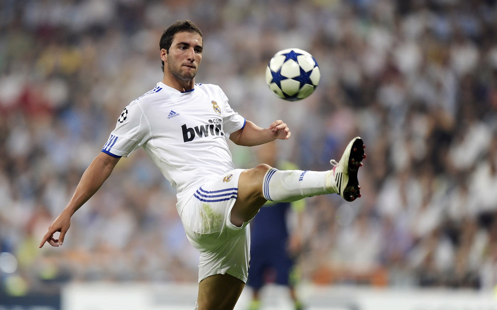 球迷最喜欢的球员